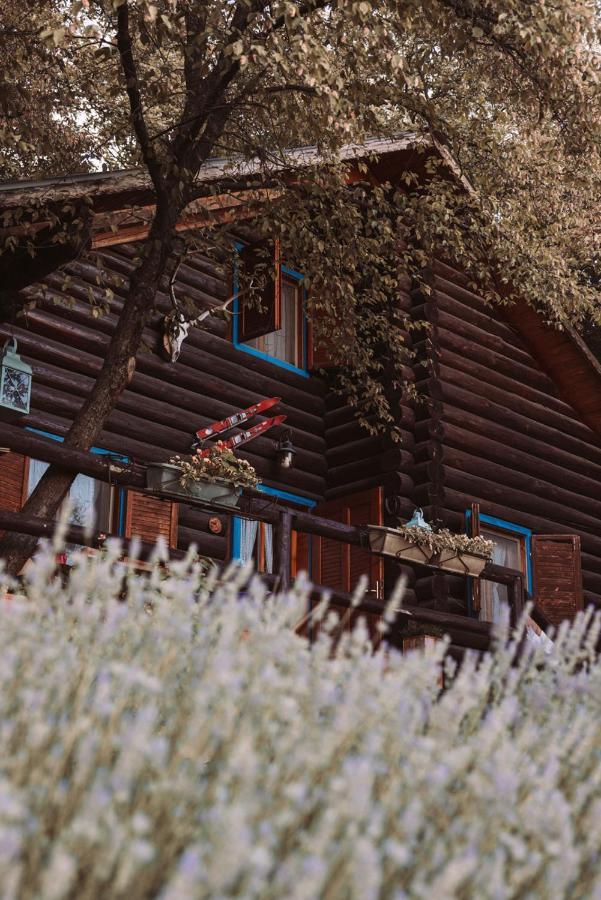 B&B Le Corone - Chalet Nel Bosco Cavalo Eksteriør billede